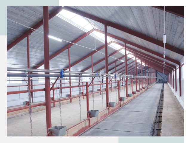 Строительство коровников в Дмитрове от 643 руб.