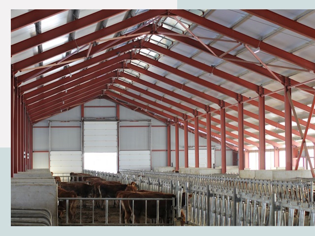 Строительство коровников в Дмитрове