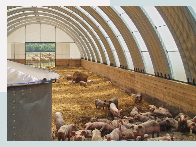 Строительство свинарников в Дмитрове