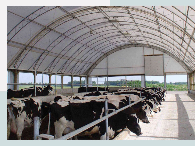 Тентовые коровники в Дмитрове